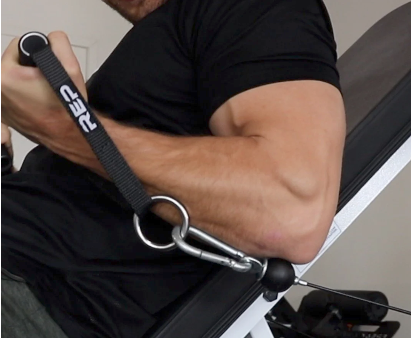 Maximizing Muscle Mass: Insights into Growth and Limitations