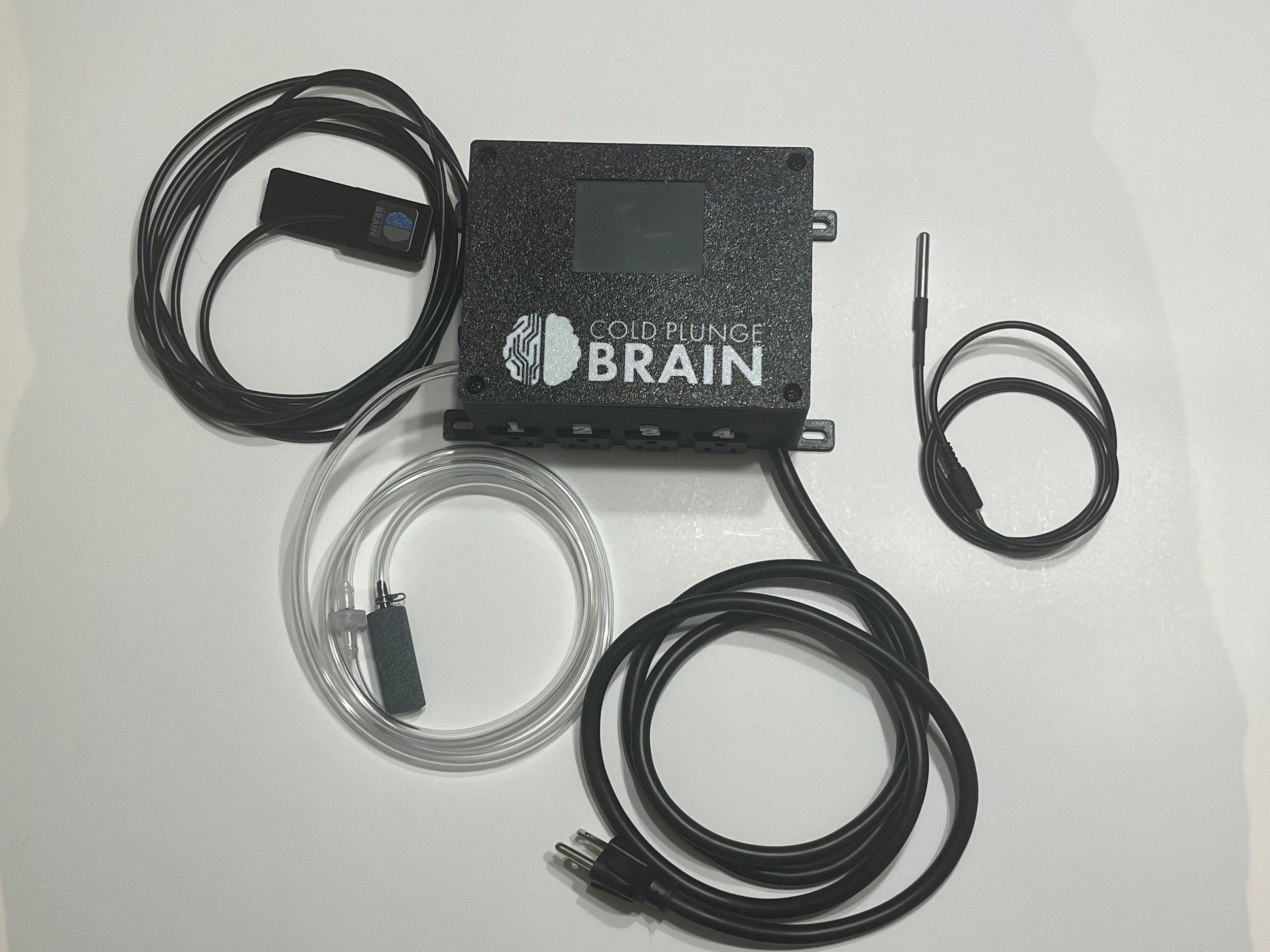 Cold Plunge BRAIN