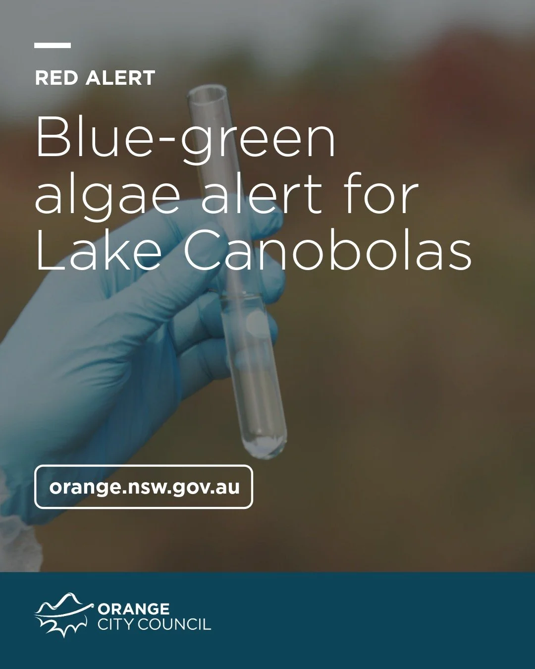 The 8th Day of Christmas - and we really didn't want this news.............. Join us at Lake Side Cafe as we console ourselves over brunch - and plan ahead.