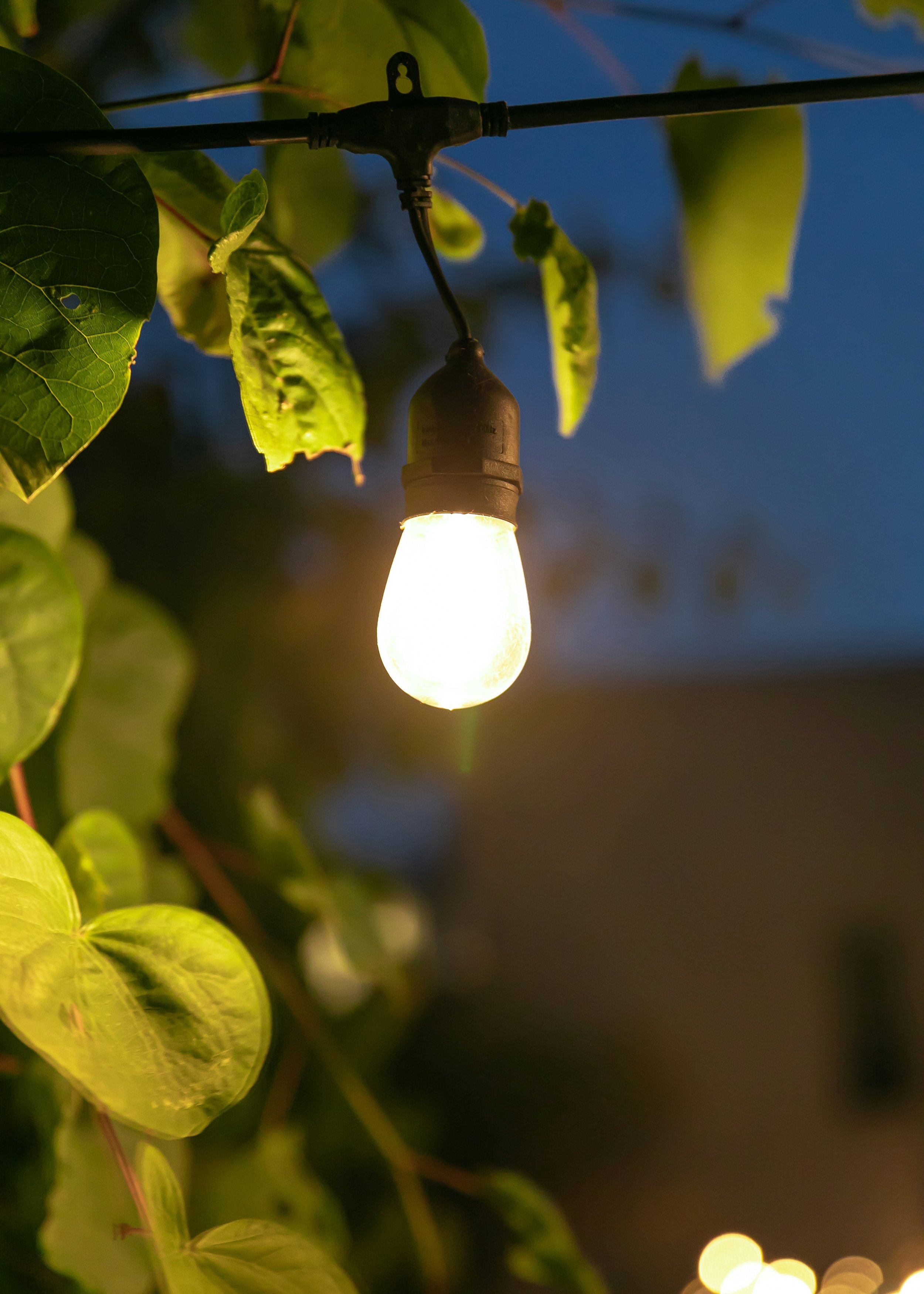 A glowing light bulb hanging among green leaves in an outdoor, evening setting.