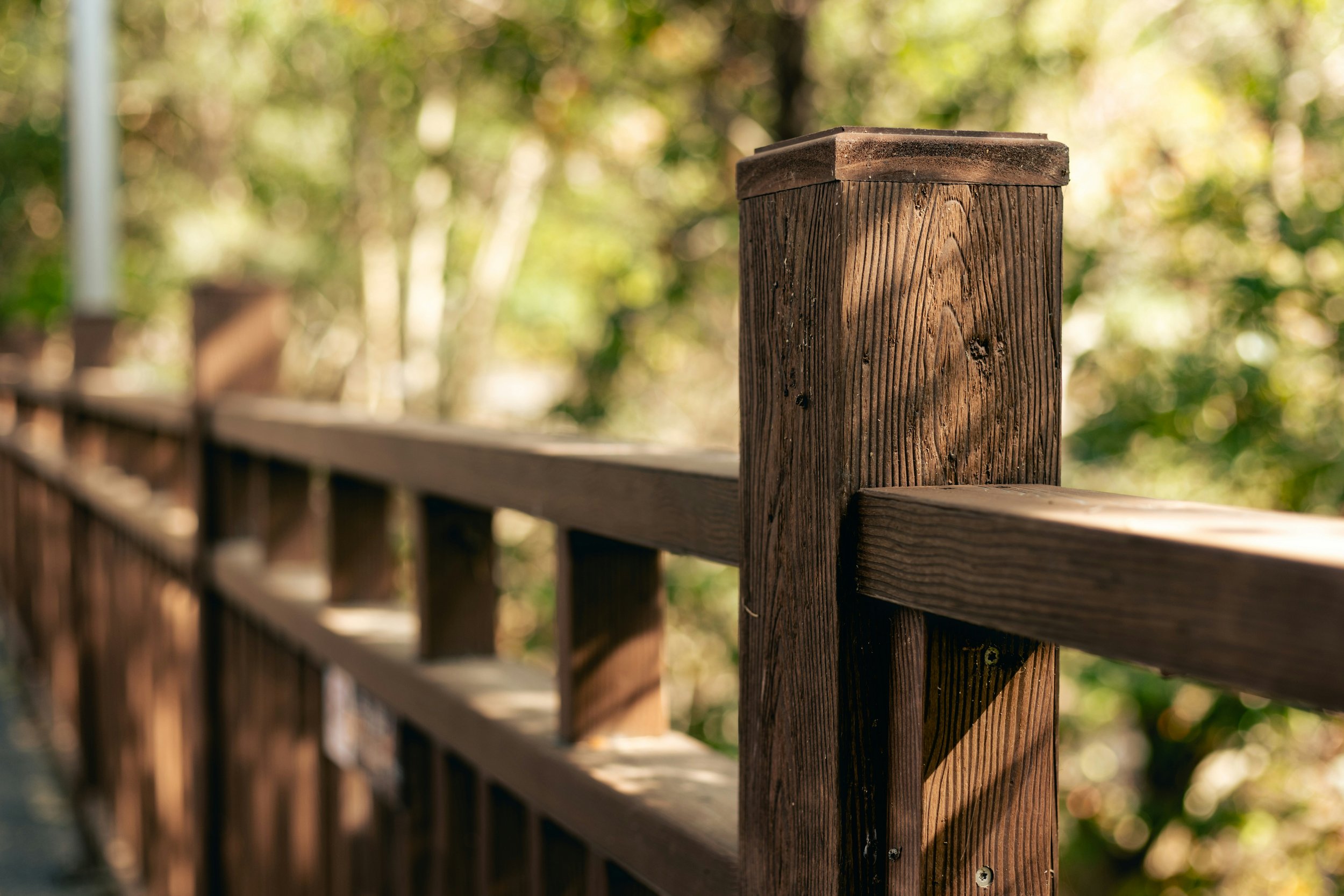 Close-up of a wooden fence with blurred green foliage in the background.