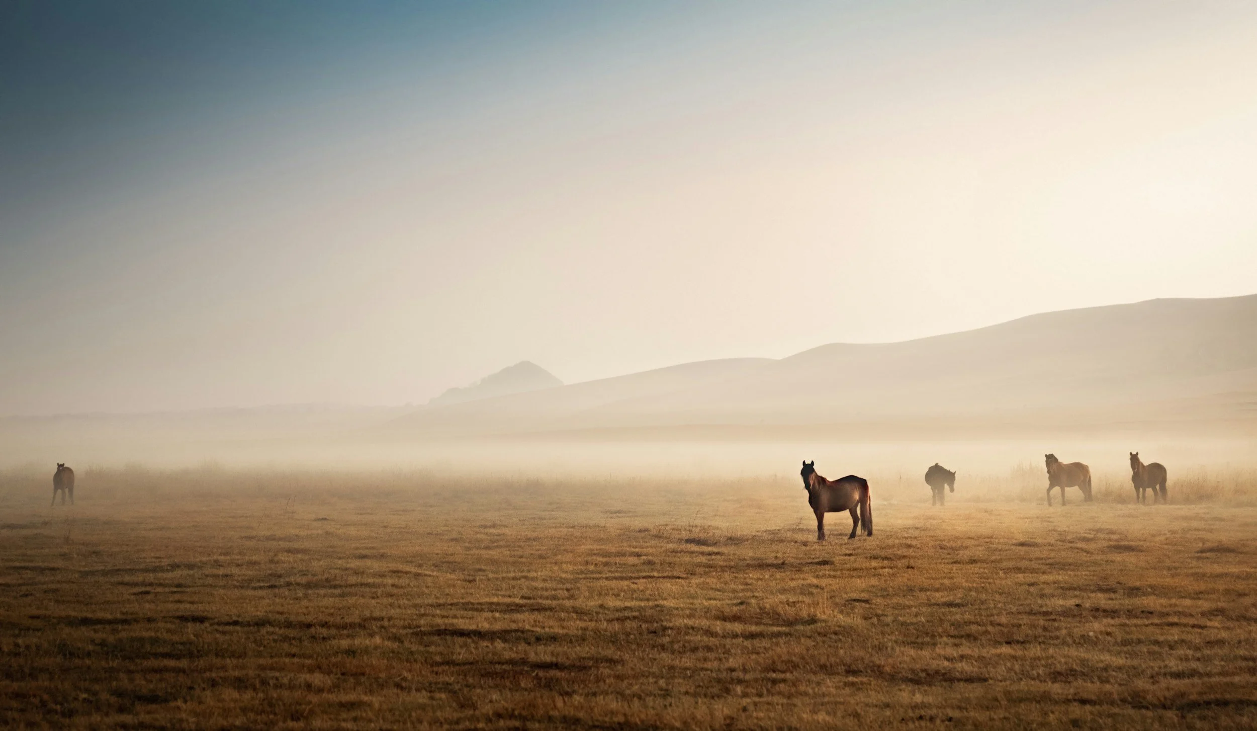 A serene landscape of a foggy field with five horses standing and grazing, distant hills, and a soft sky at sunrise or sunset.
