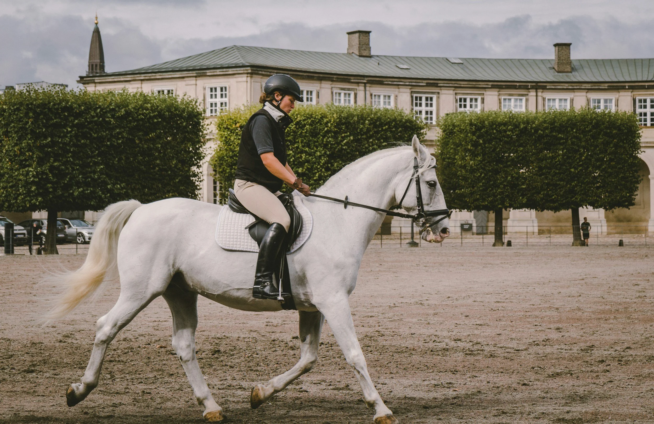 A person wearing riding gear and a helmet riding a white horse on a dirt arena, with a large building and trees in the background.