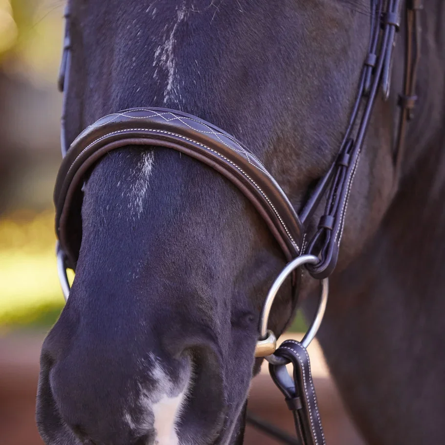 Tack | Discover Quality Tack – Shop Now — Greenway Saddlery