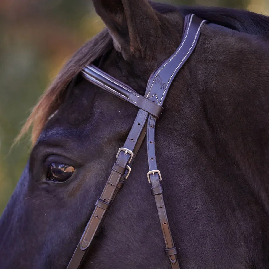 Close-up of a dark brown or black horse wearing a leather bridle with white stitching, with a blurred outdoor background.