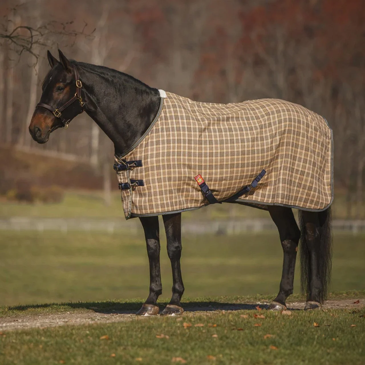 Baker 5A Deluxe Stable Sheet