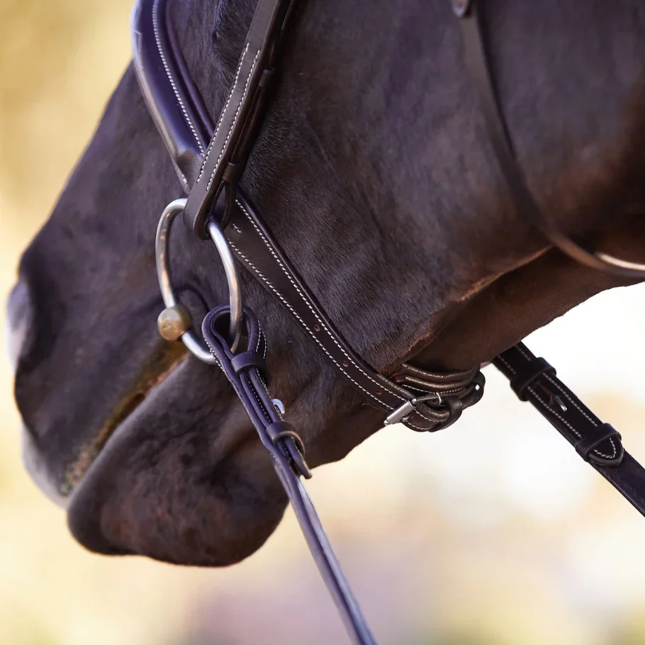 Tack | Discover Quality Tack – Shop Now — Greenway Saddlery