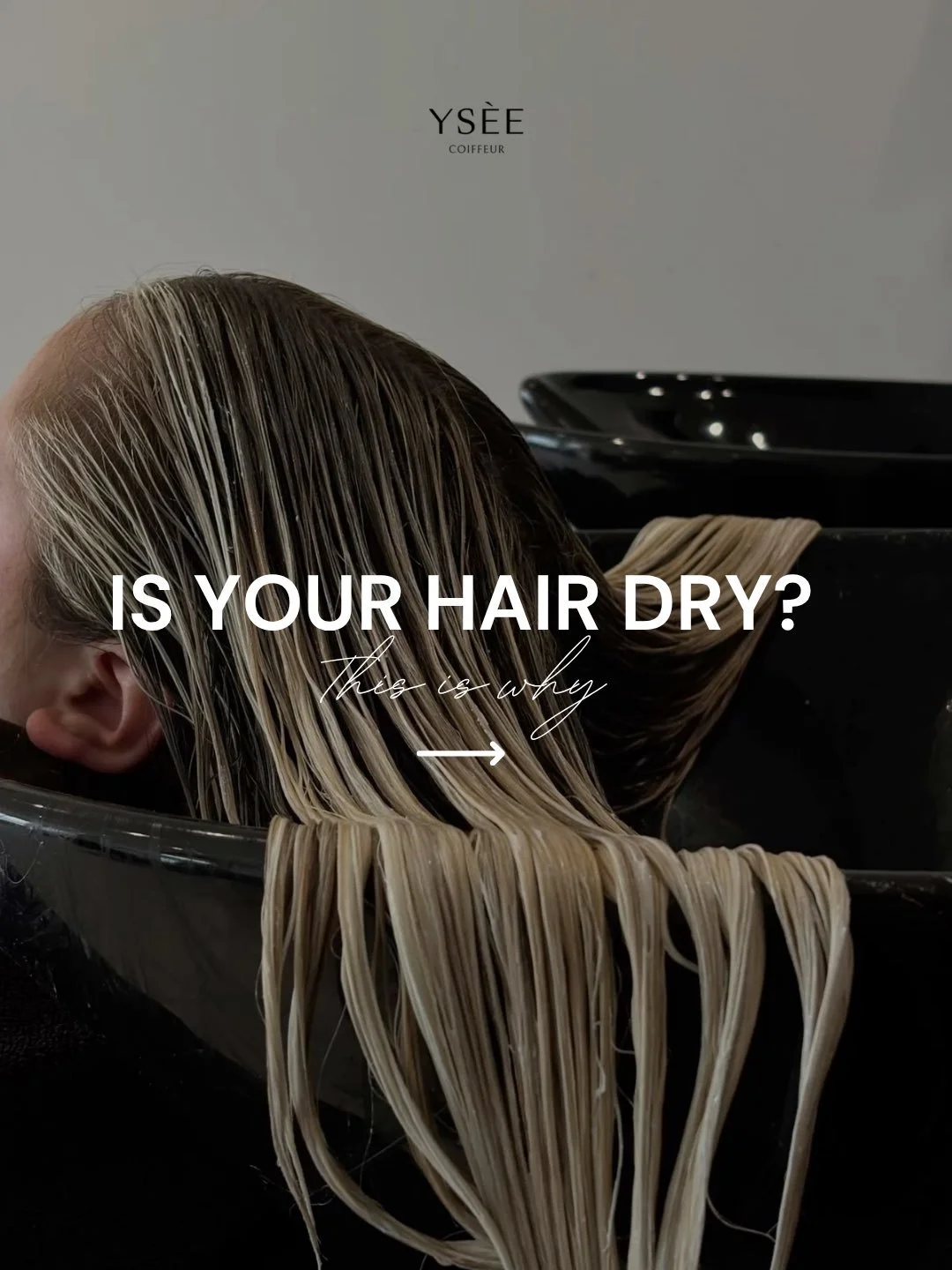 Dry hair isn&rsquo;t always about damage..

Sometimes your hair is simply lacking moisture from heat styling, over washing, blonde maintenance or not using the right products for your hair type.

The good news? Hydration can be restored with consiste