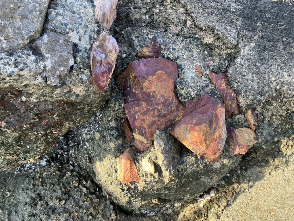 Spot on marine_coloured rock (credit Michael Christie).jpeg