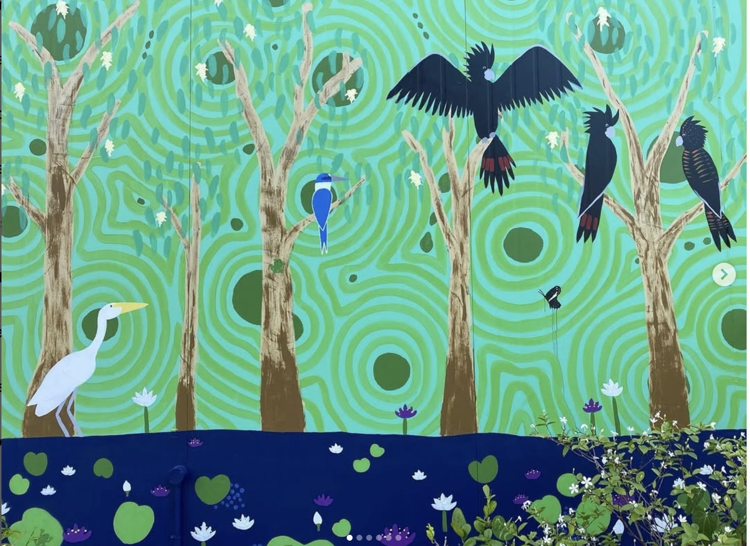 For 13 - 16 years: Wild Sketches: Drawing Nature with Mikaela Lee at Sandy Creek