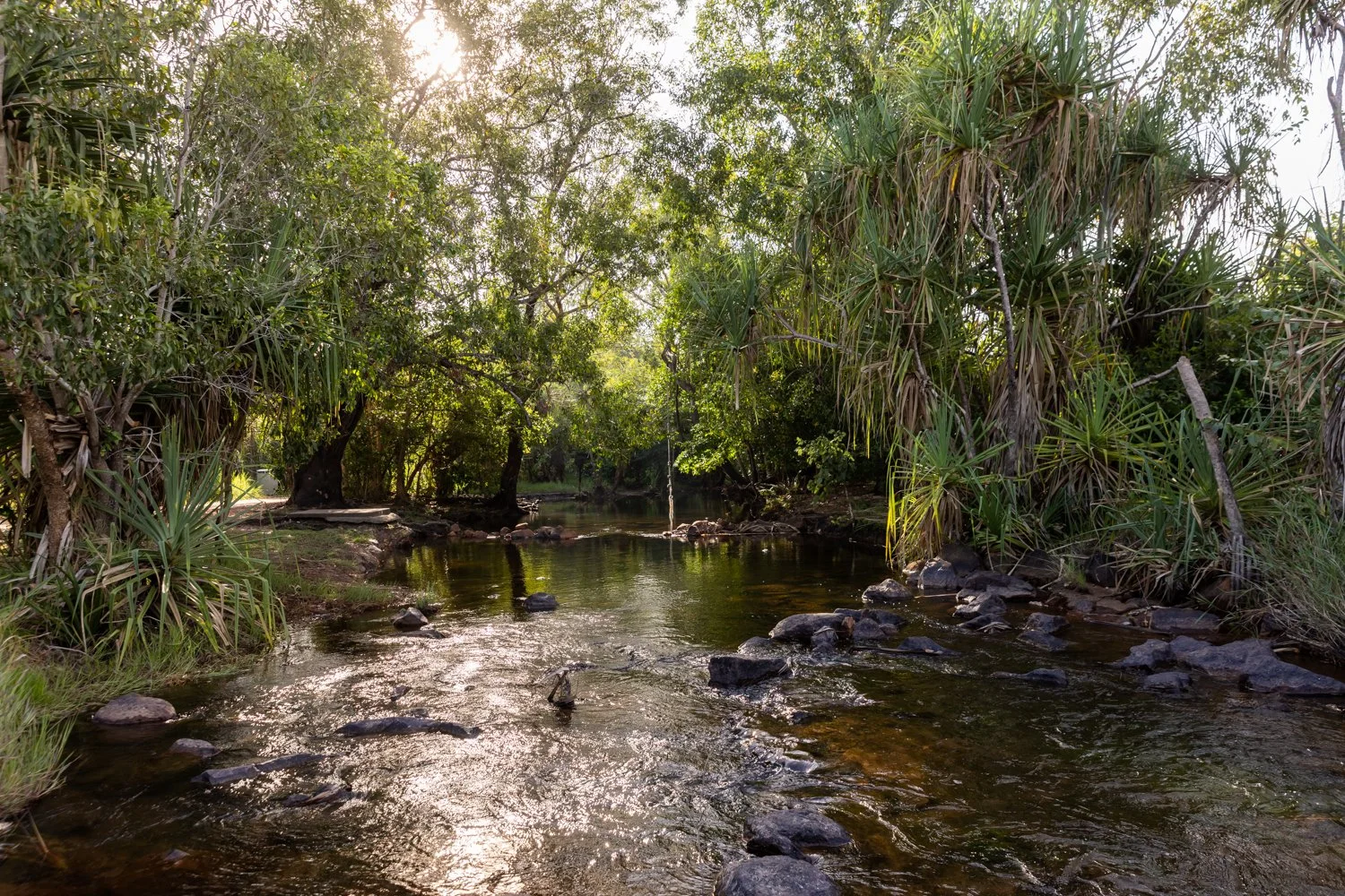 Creek Currents