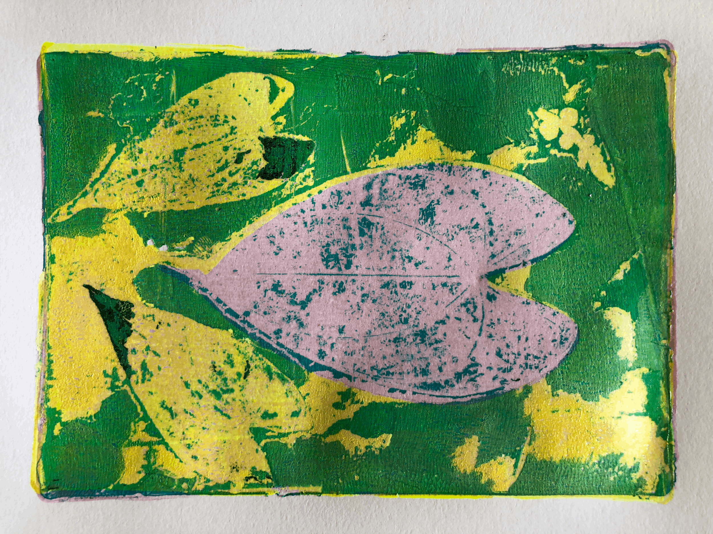 Impressed by Nature at Rapid Creek