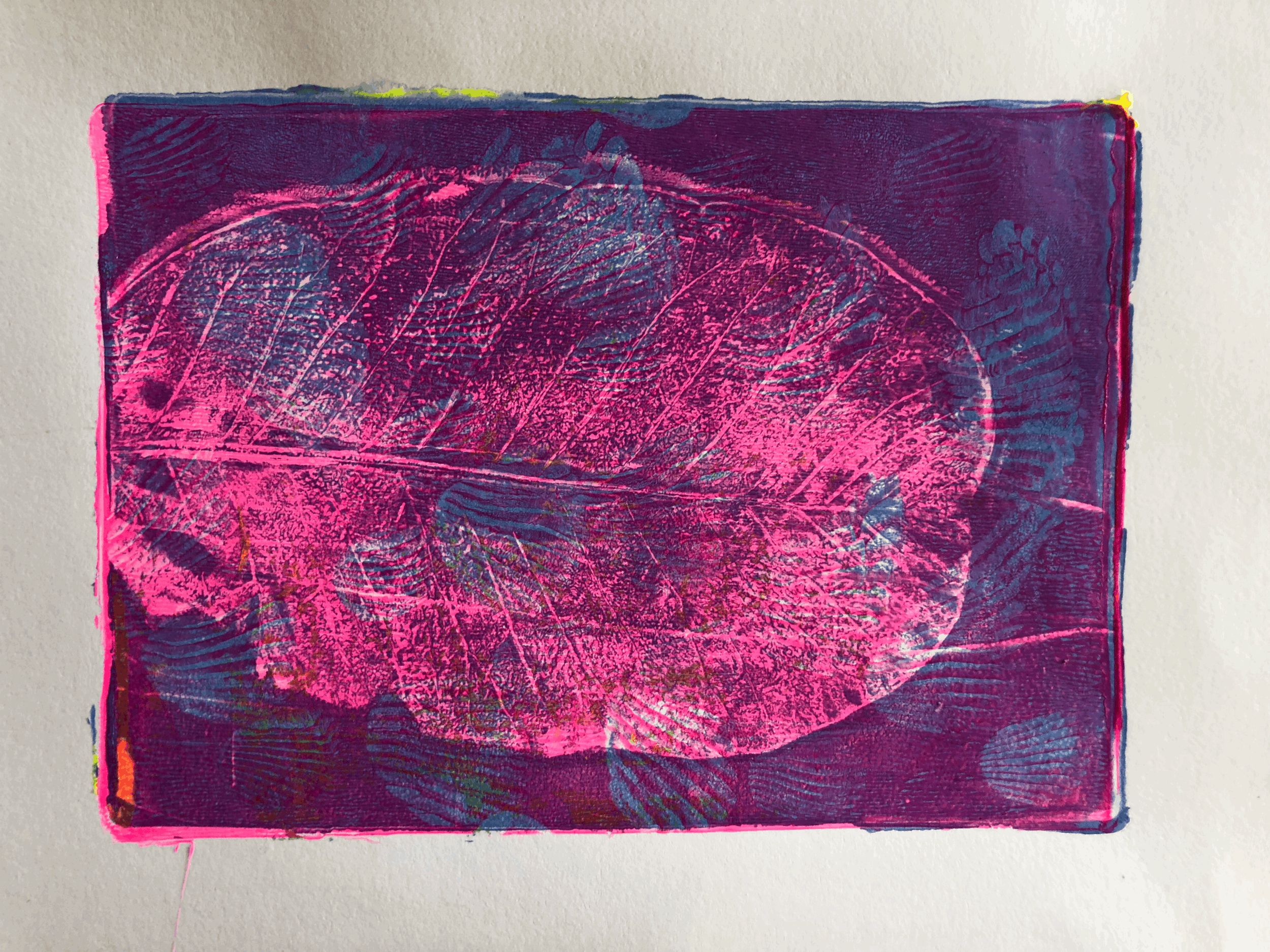 Impressed by Nature at Mitchell Creek