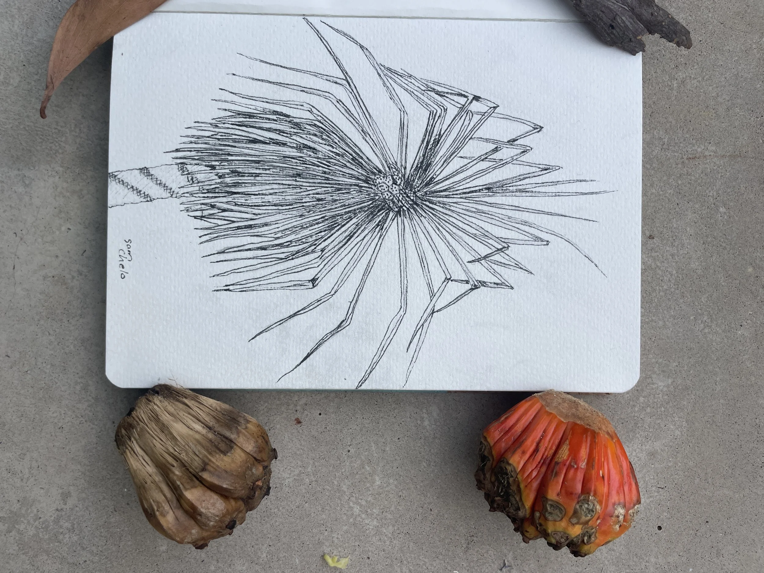 Drawn to the Creek for Families