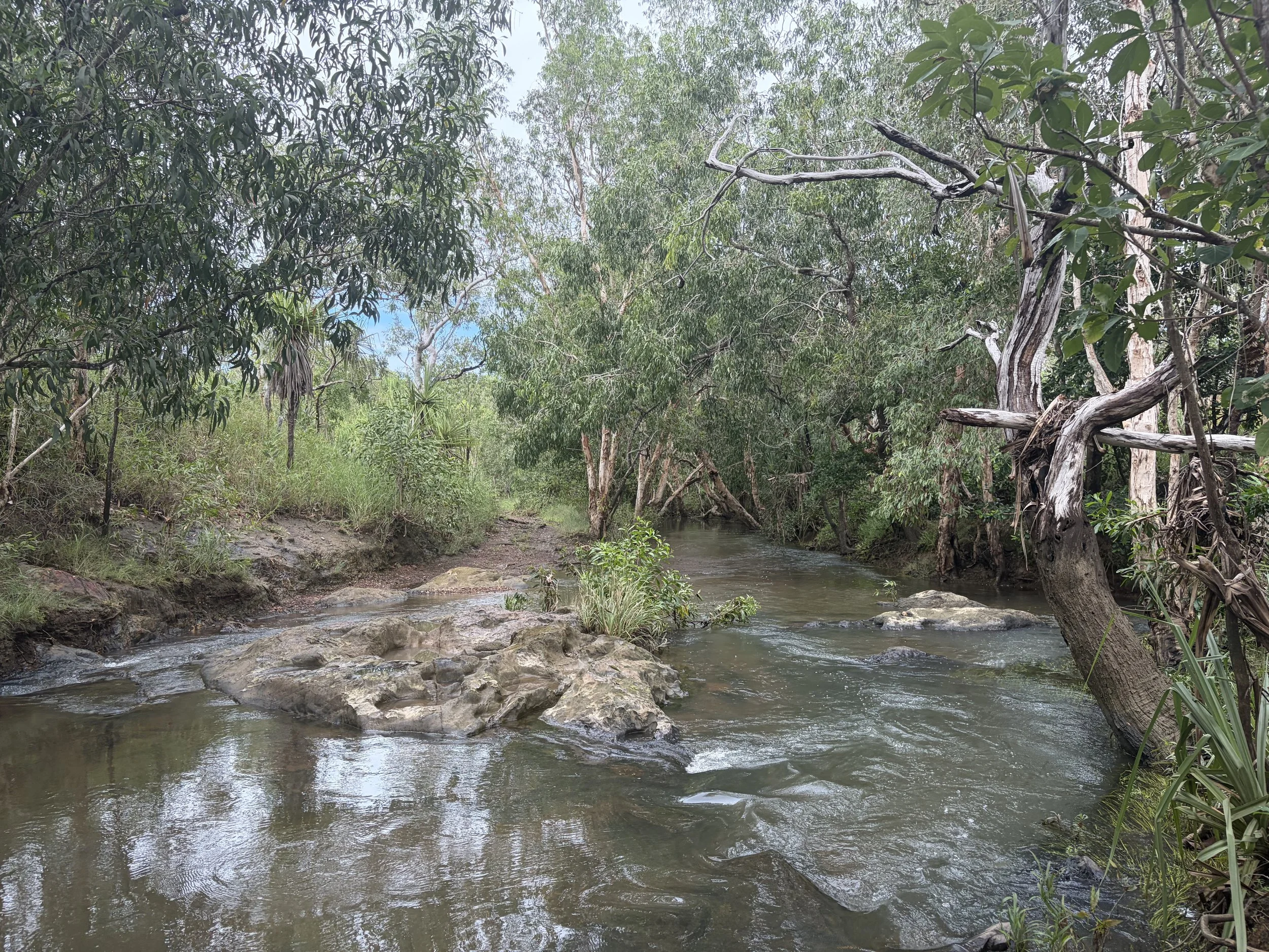 Community Dinner by Mitchell Creek