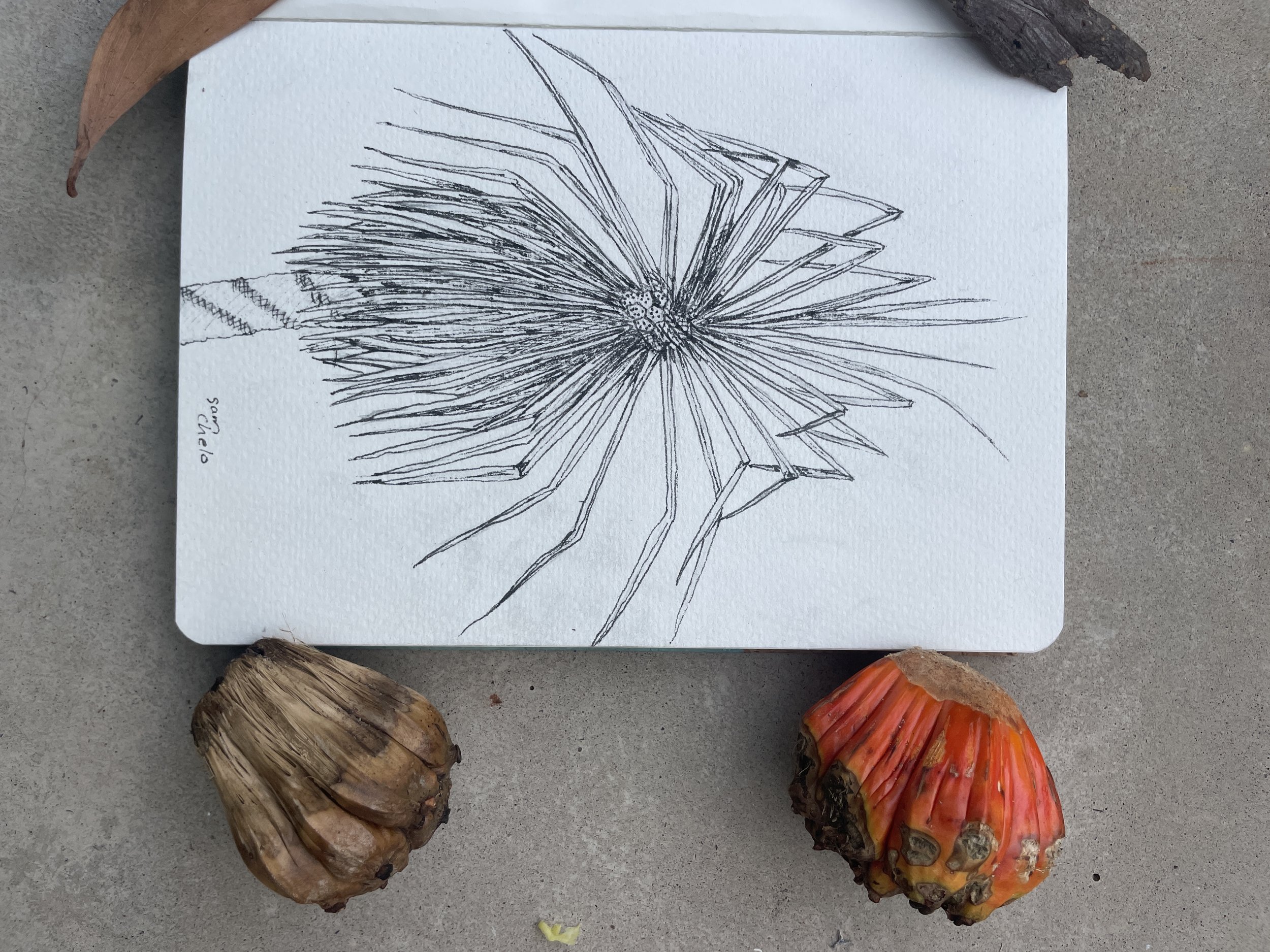 Drawn to the Creek (Family Event)