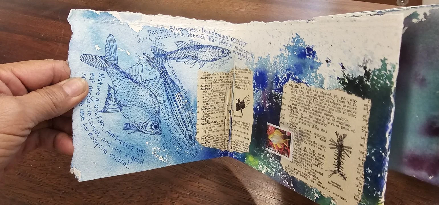 Mangrove Magic: Nature Journaling for Young People