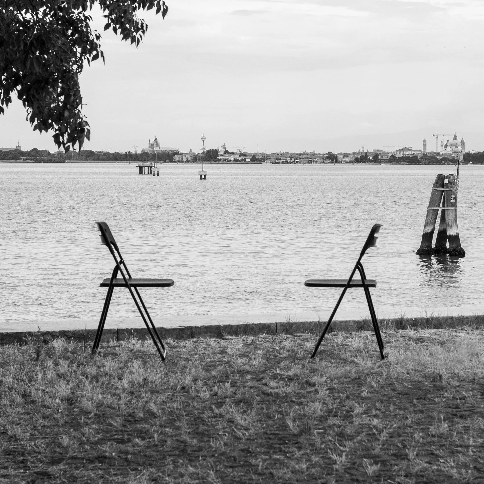Två tomma stolar står på gräset nära vattnet, med en stadssilhuett i bakgrunden på andra sidan viken, i svartvitt.