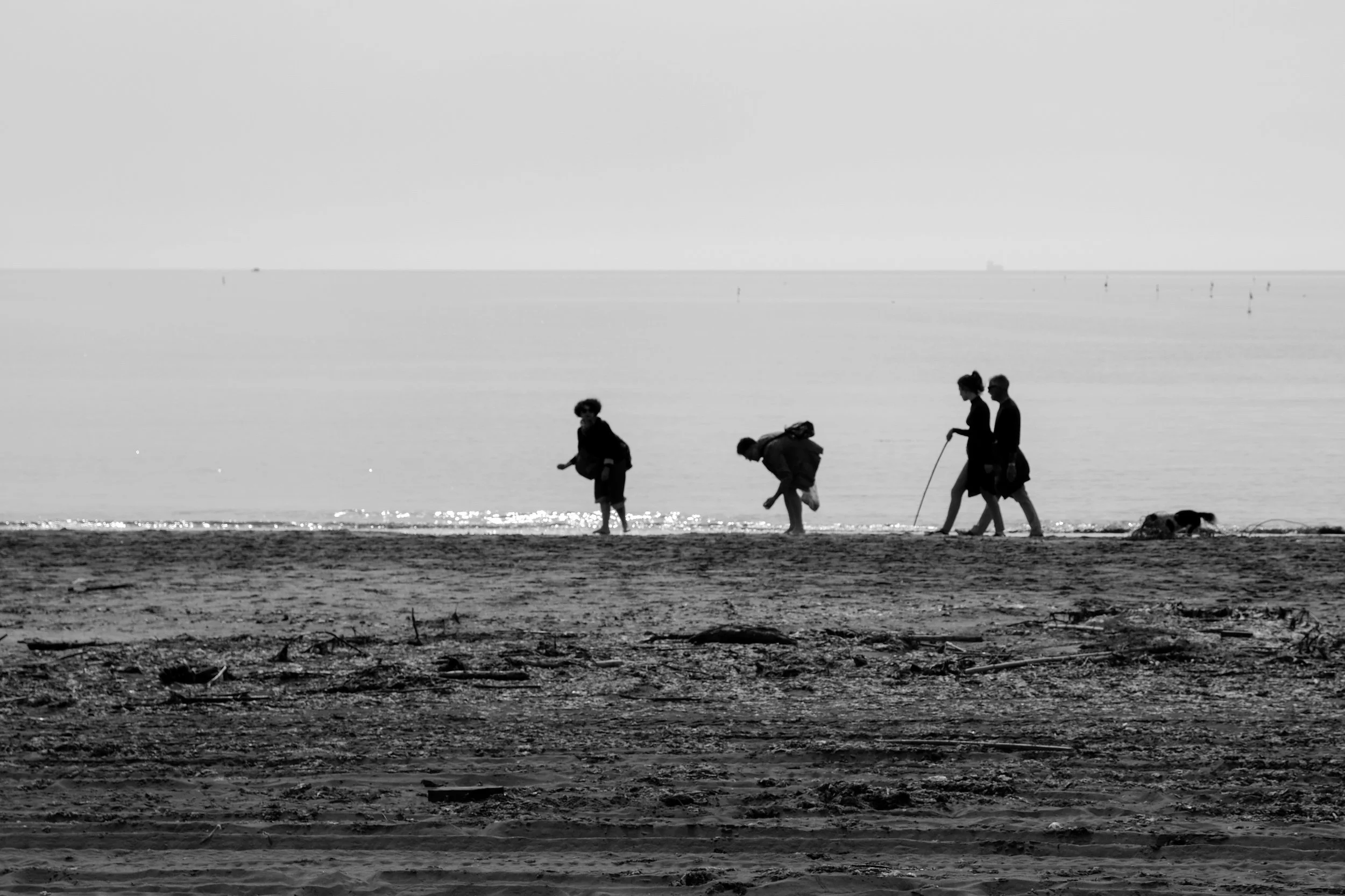 Fyra personer och en hund på stranden, bild i svartvitt, havet i bakgrunden.