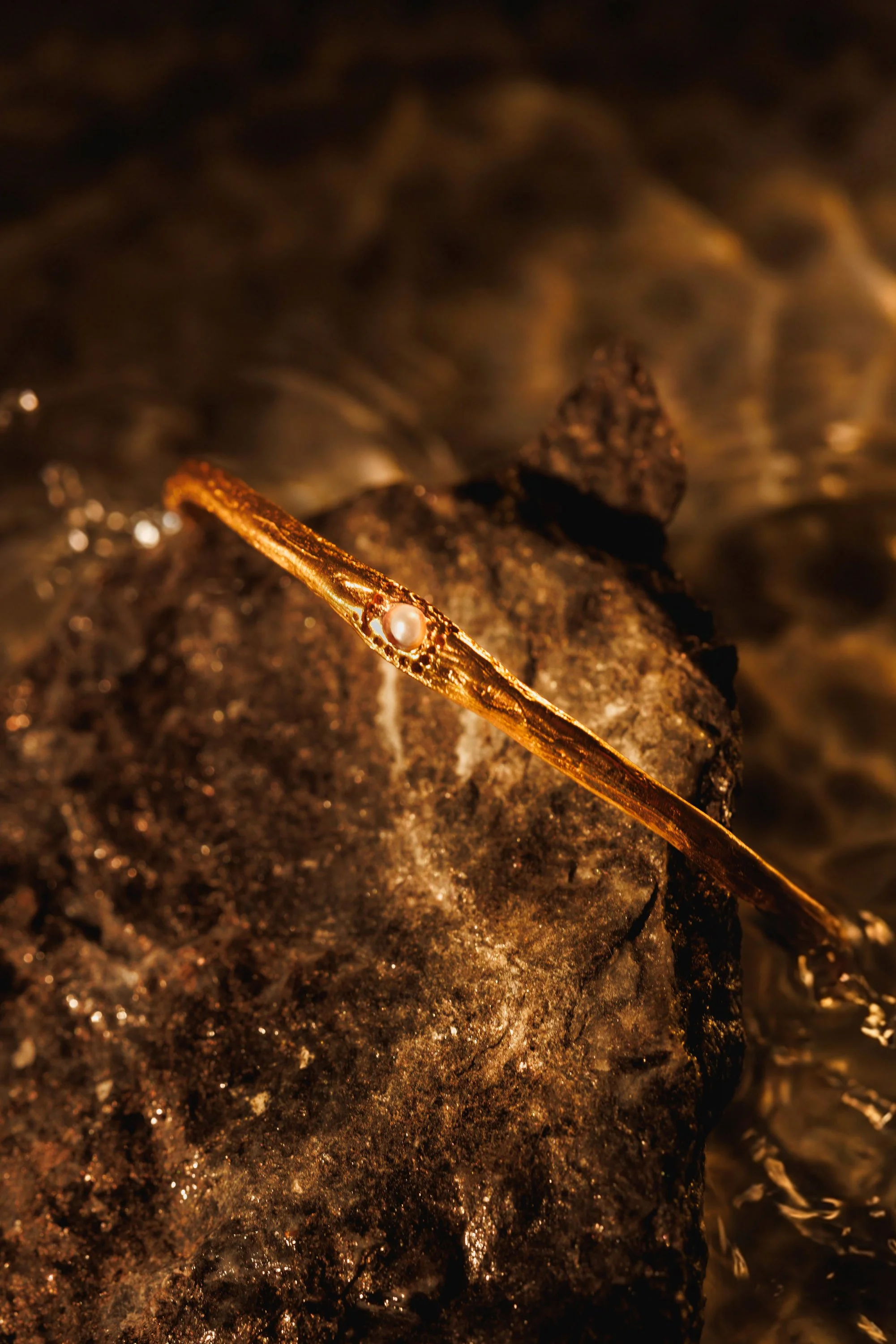 Creative Shot - 2C (Compressed).jpg