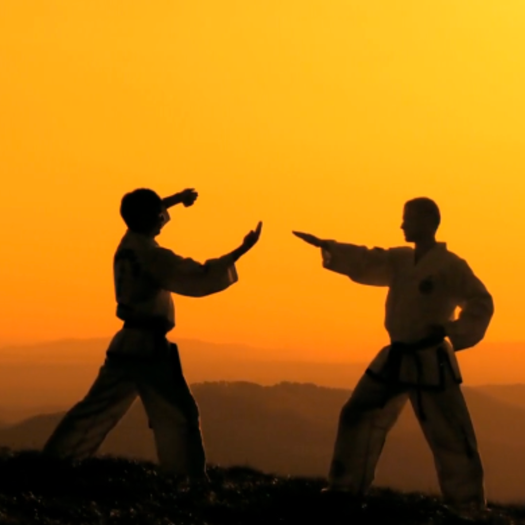 Self-Defense - great for all ages