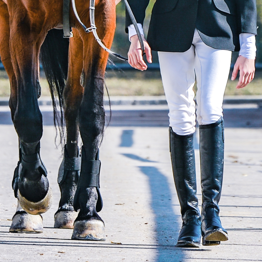 High Point Western and English Schooling Show (1st in series) 9 am start
