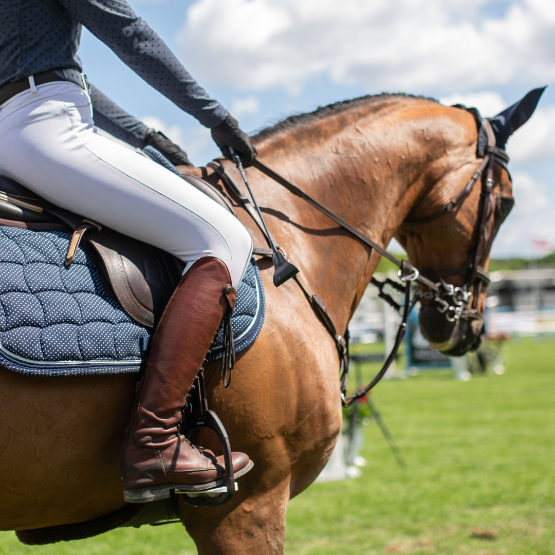 High Point English & Western Schooling Show 