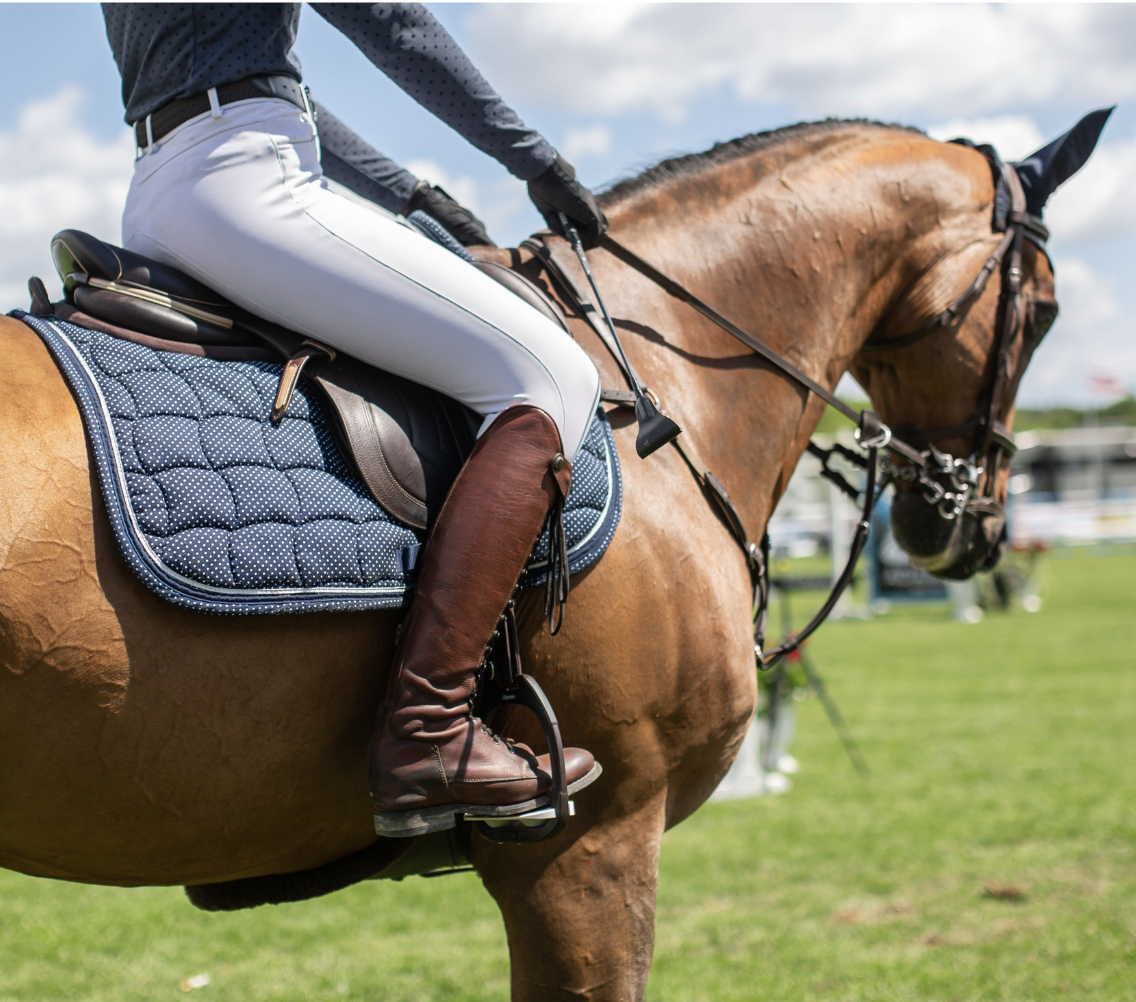 Hi-Point School Horse Show #1