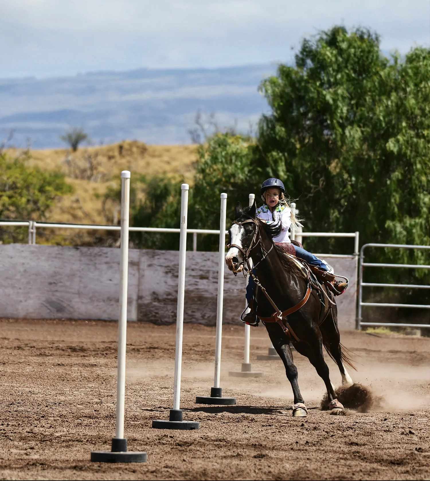 Paniolo Life: The Hawaiian Cowboy Legacy | Waikoloa Stables — WAIKOLOA ...