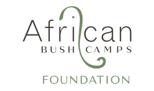 logo__Africa-bushcamps-Logo-1.png
