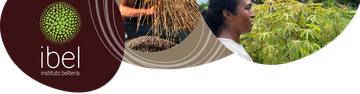 logo__Instituto-belterra.png