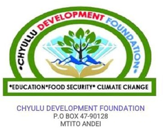 logo__Chyulu-dev-fnd-logo.png