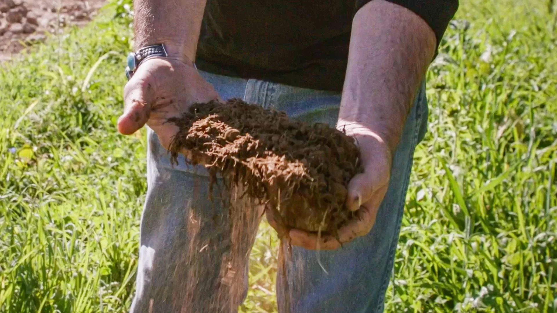 Michi Monthly Calendar- 1920 x 1080 px) (2).jpg