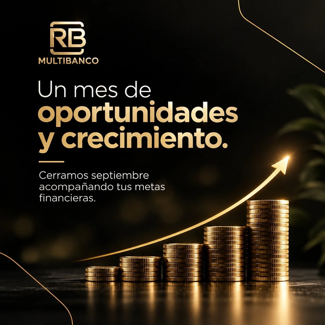 ✨ Un mes de oportunidades y crecimiento

Septiembre llega con nuevas oportunidades para seguir avanzando hacia tus metas financieras. 📈💰

En RB Multibanco queremos acompa&ntilde;arte en cada paso, brind&aacute;ndote alternativas pensadas para impul