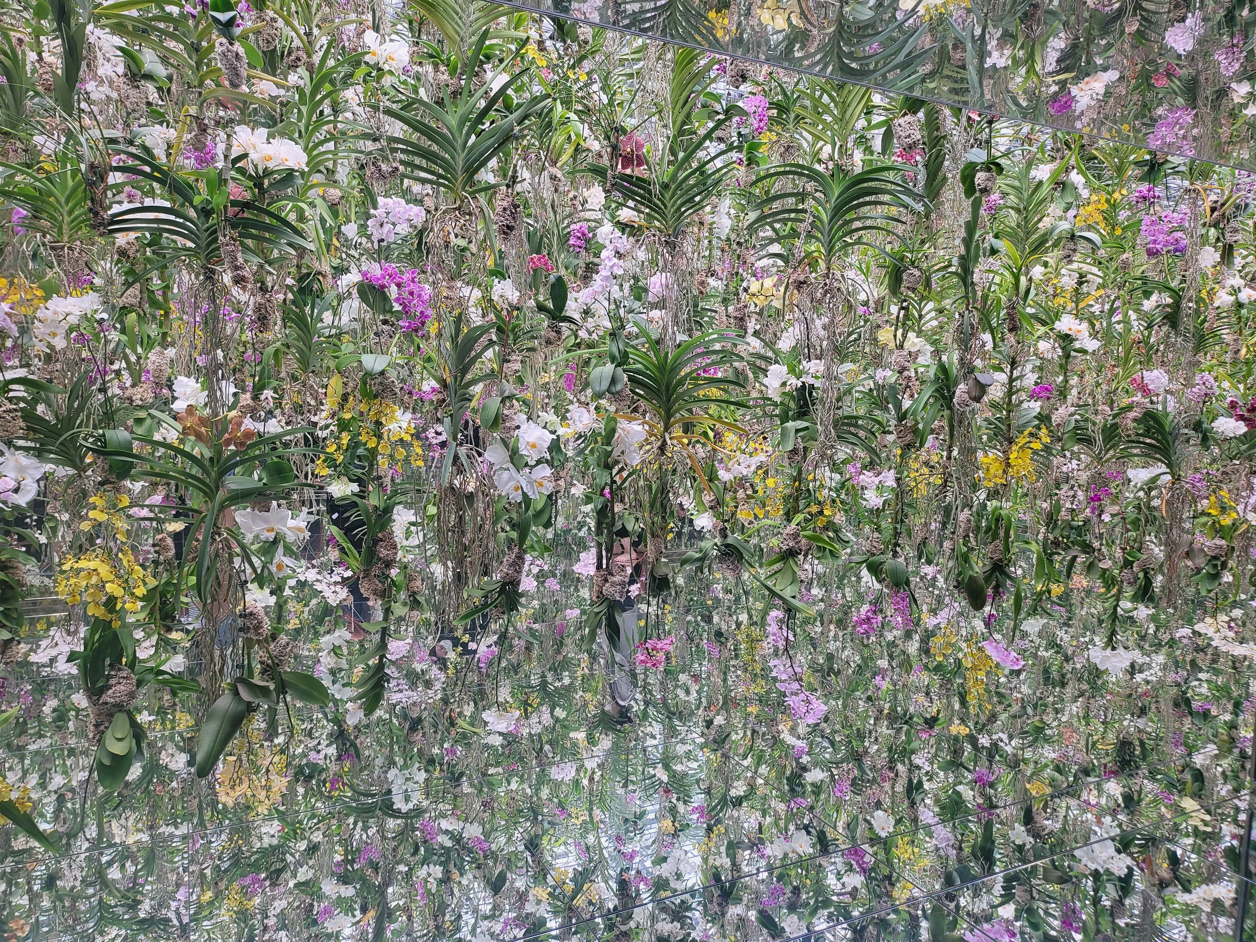 Floating orchid garden installation in Tokyo, Japan, showcasing immersive cultural experiences and expertly planned international itineraries.