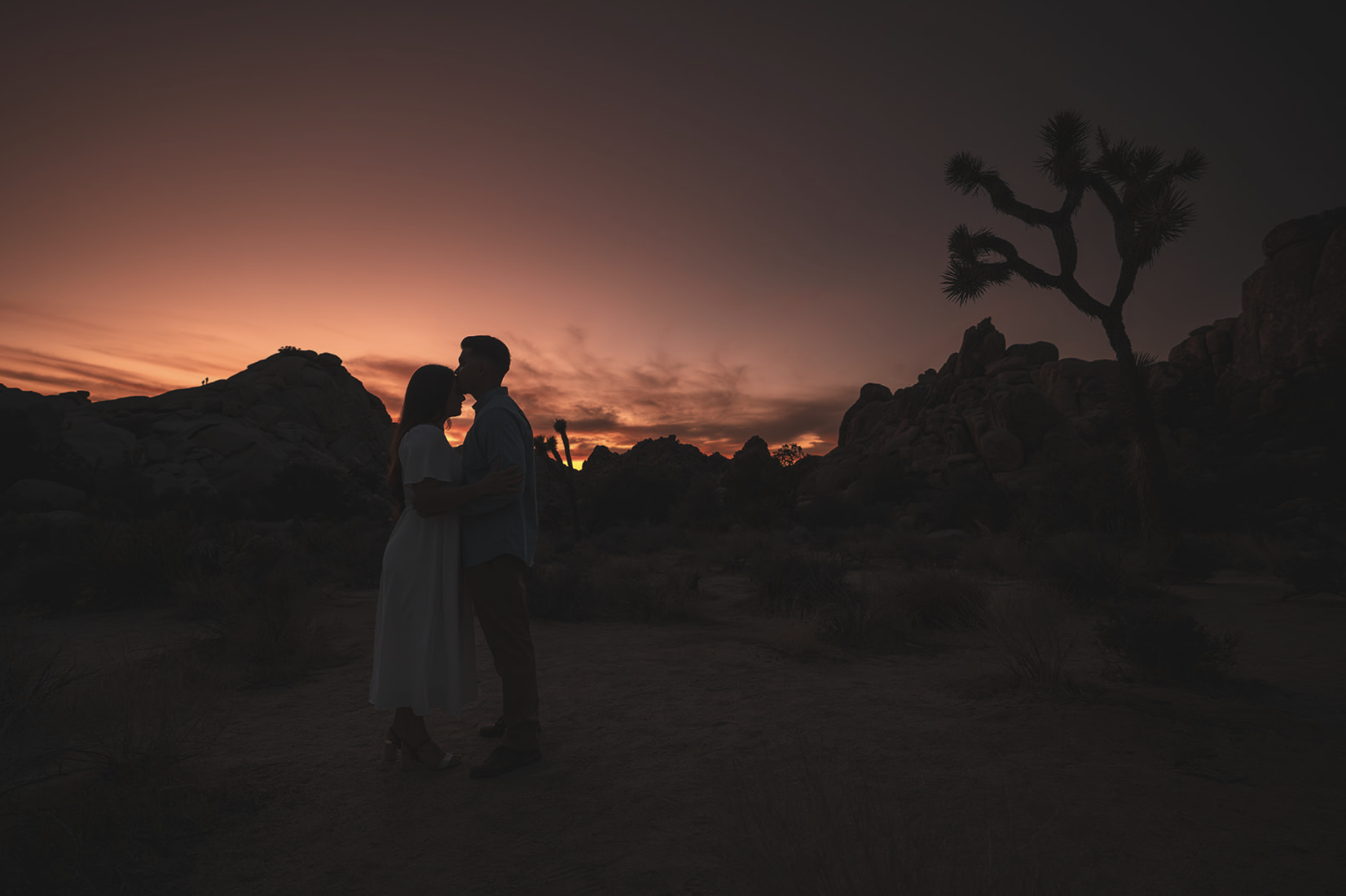 Silhouette of a couple embracing at sunset in a desert landscape with rocky formations and a Joshua tree.