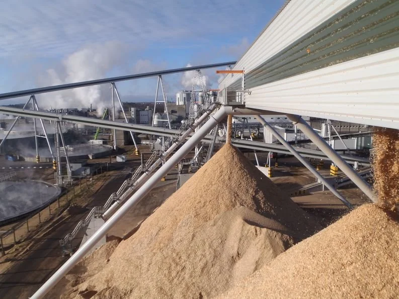 Södra Cell (Sweden): Raumaster supports customer's growth