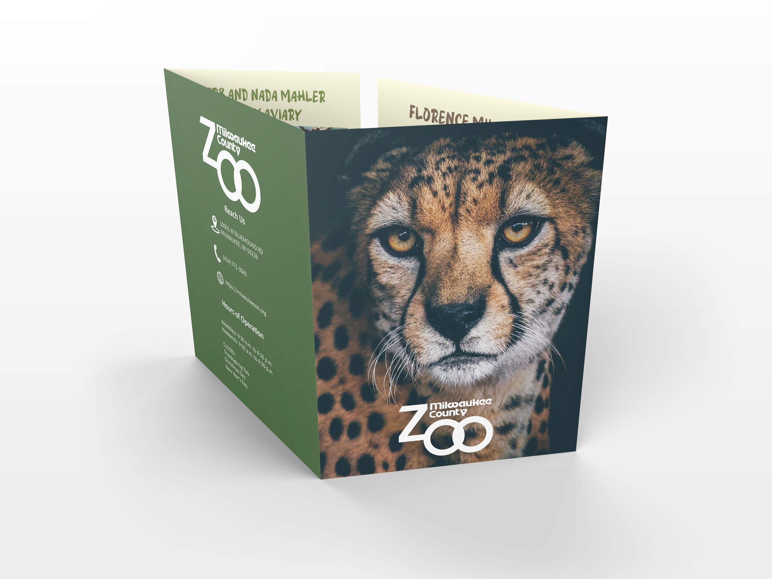 Brochure Mockup 3.png