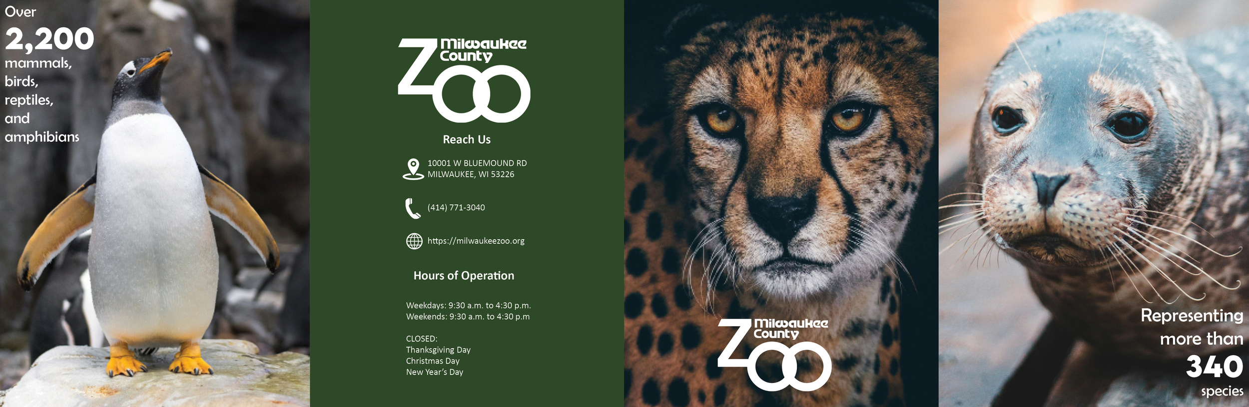 Double Gate Fold.png