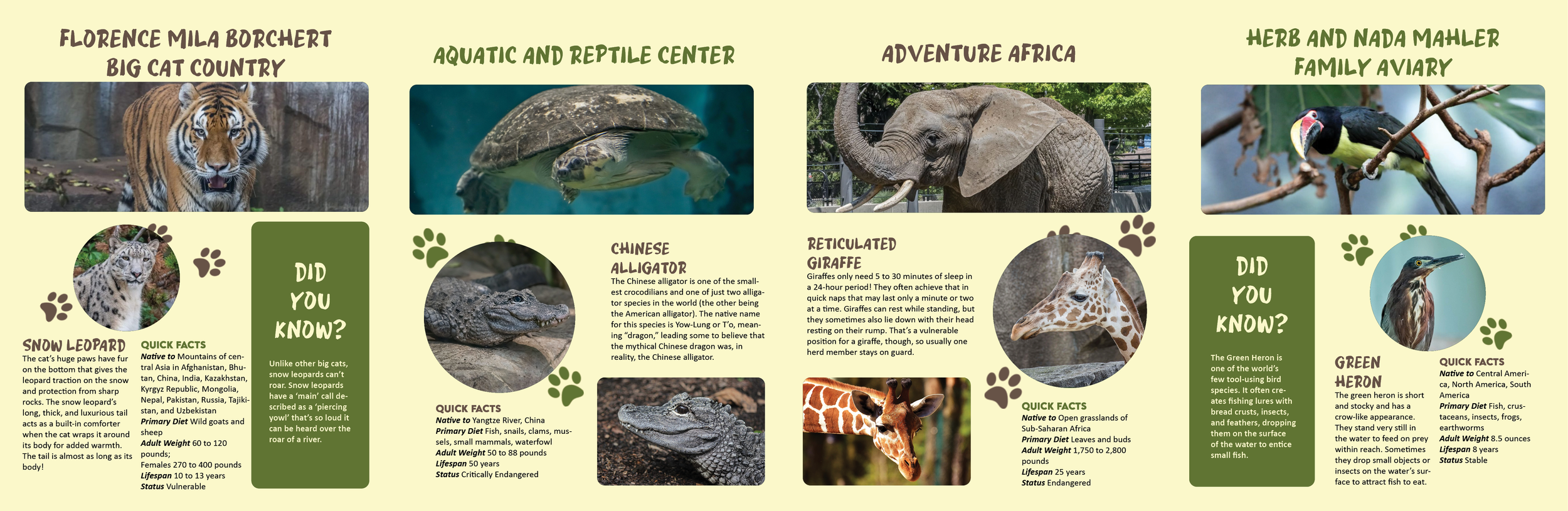 Double Gate Fold2.png