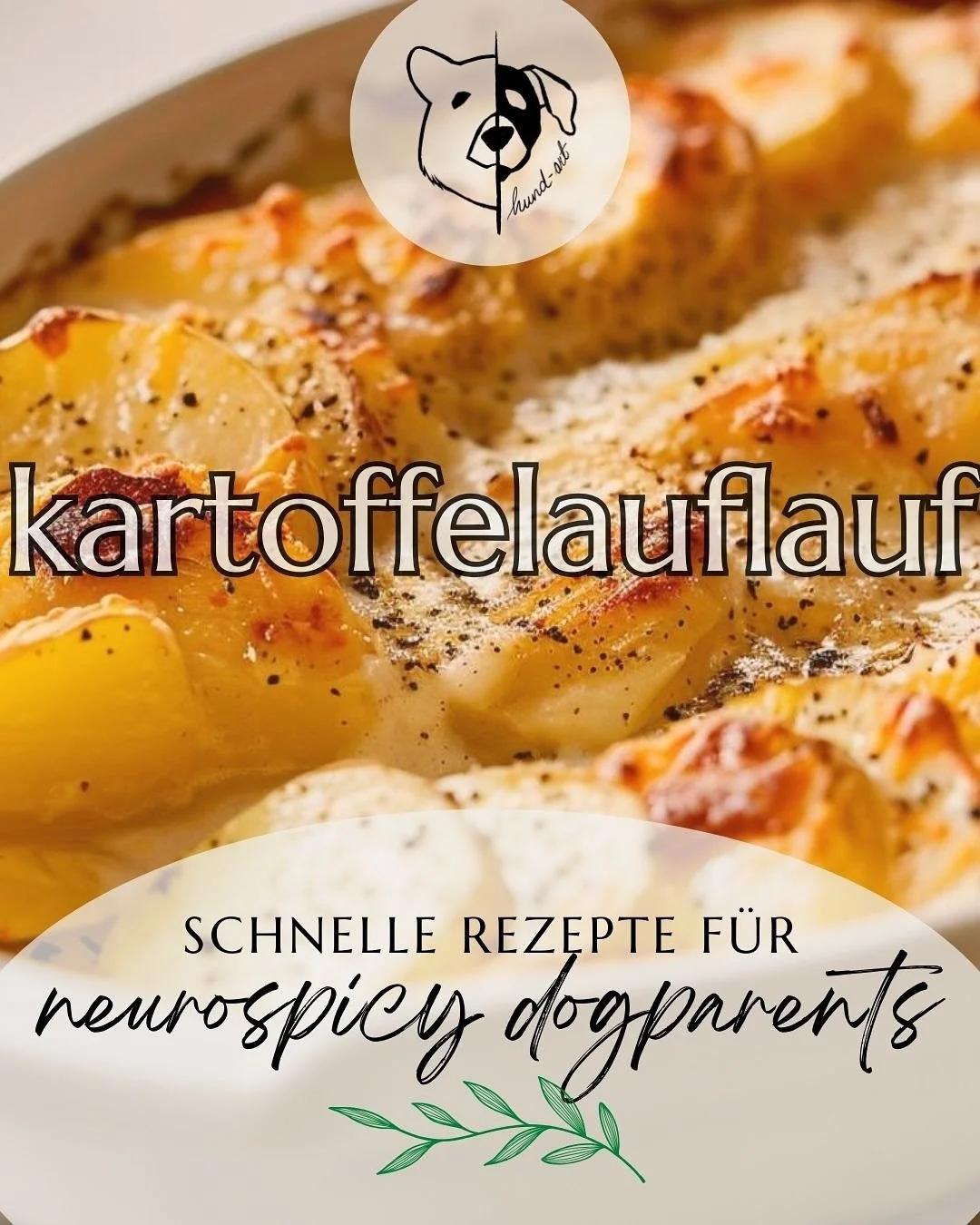 ✨woche 4 = rezept 4✨

diesmal gibts passend zum herbstlichen wetter ein einfaches rezept f&uuml;r kartoffelauflauf oder kartoffelgratin! 🥔🧀