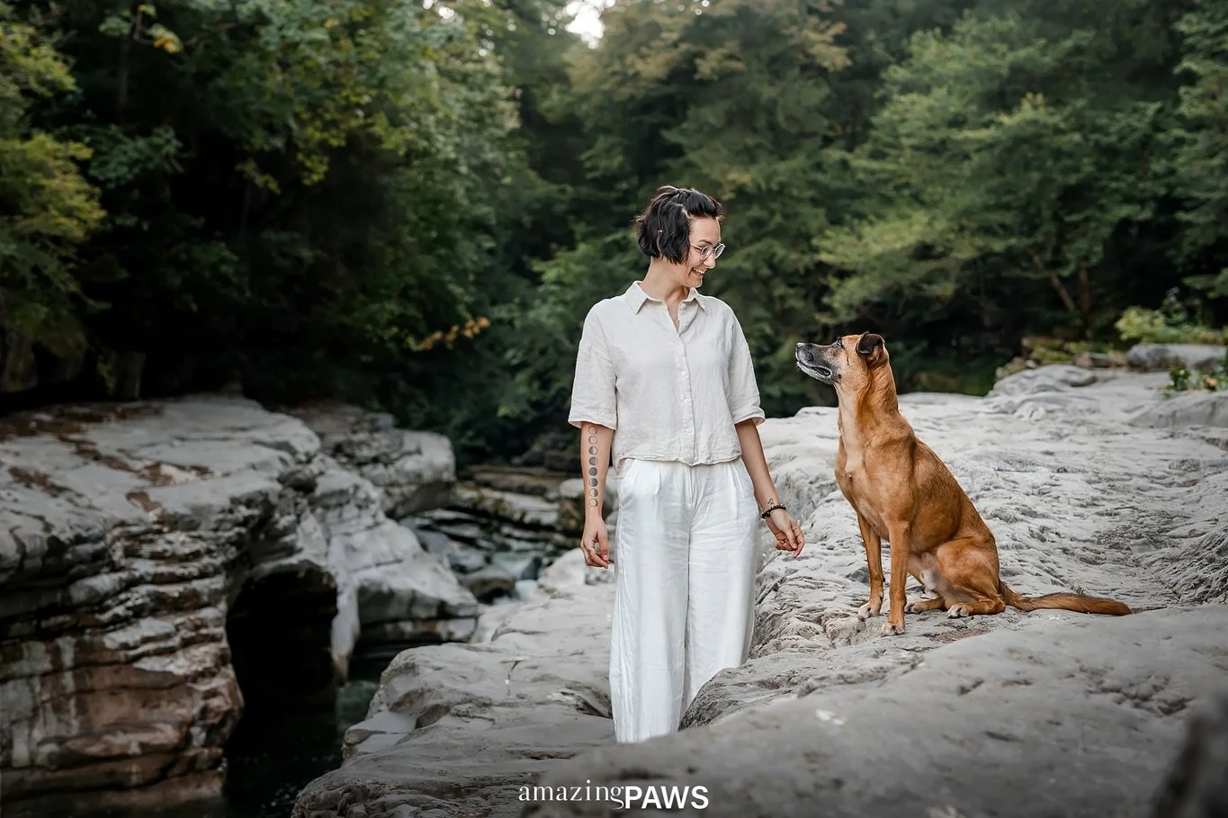 am welthundetag einfach nur dieser sch&ouml;ne, fitte b&auml;r 🐻 

@amazingpaws