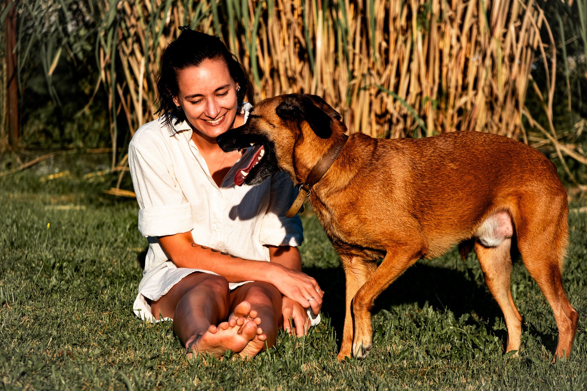 Eine lächelnde weiße Frau mit dunkelbraunen kinnlangen Haaren sitzt im Gras und streichelt einen braunen Hund in der Sonne.