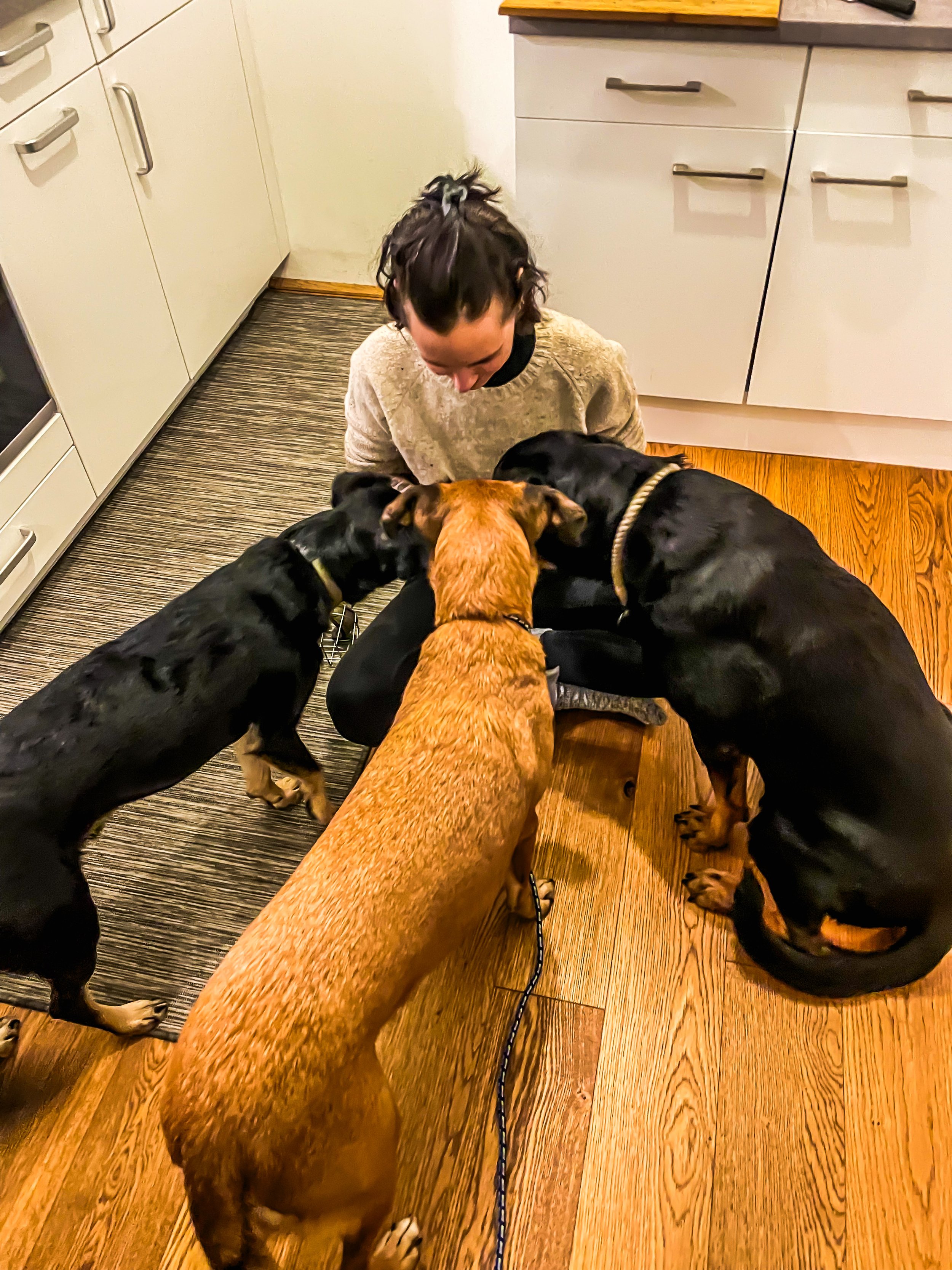 Ella mit JoeJoe, Merlin und Viola