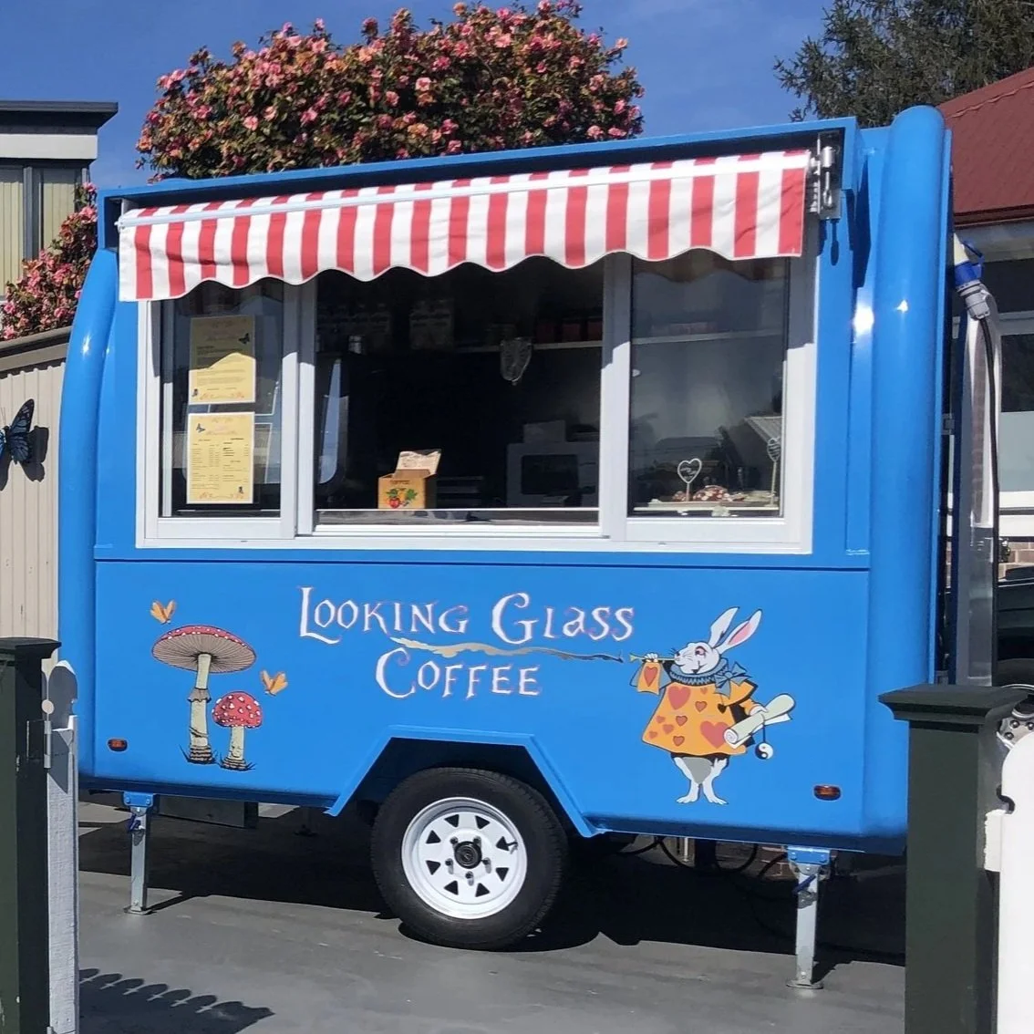 Looking Glass Coffee