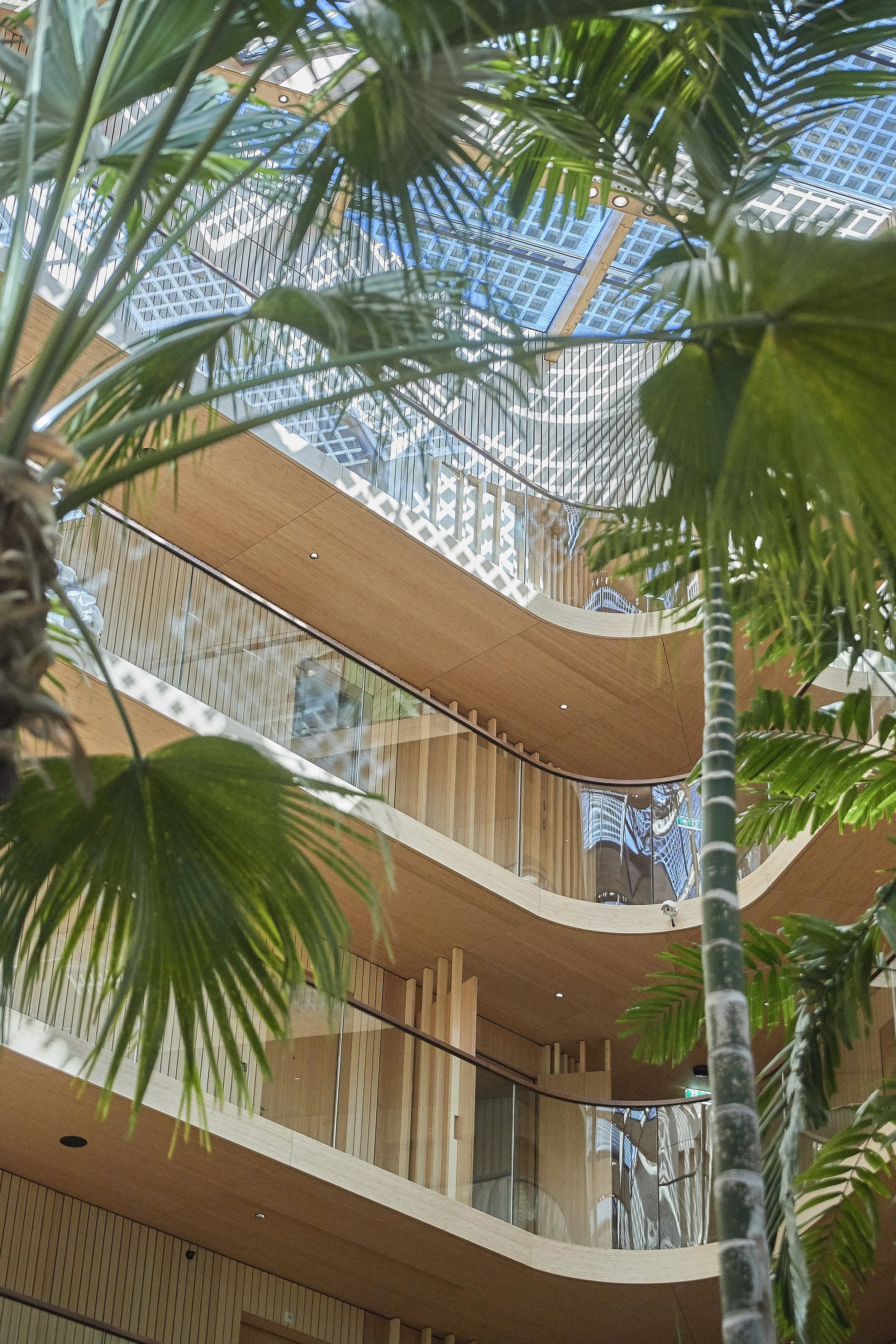Interior view of Hotel Jakarta, with curved wooden balconies, glass railings, and lush green tropical plants.