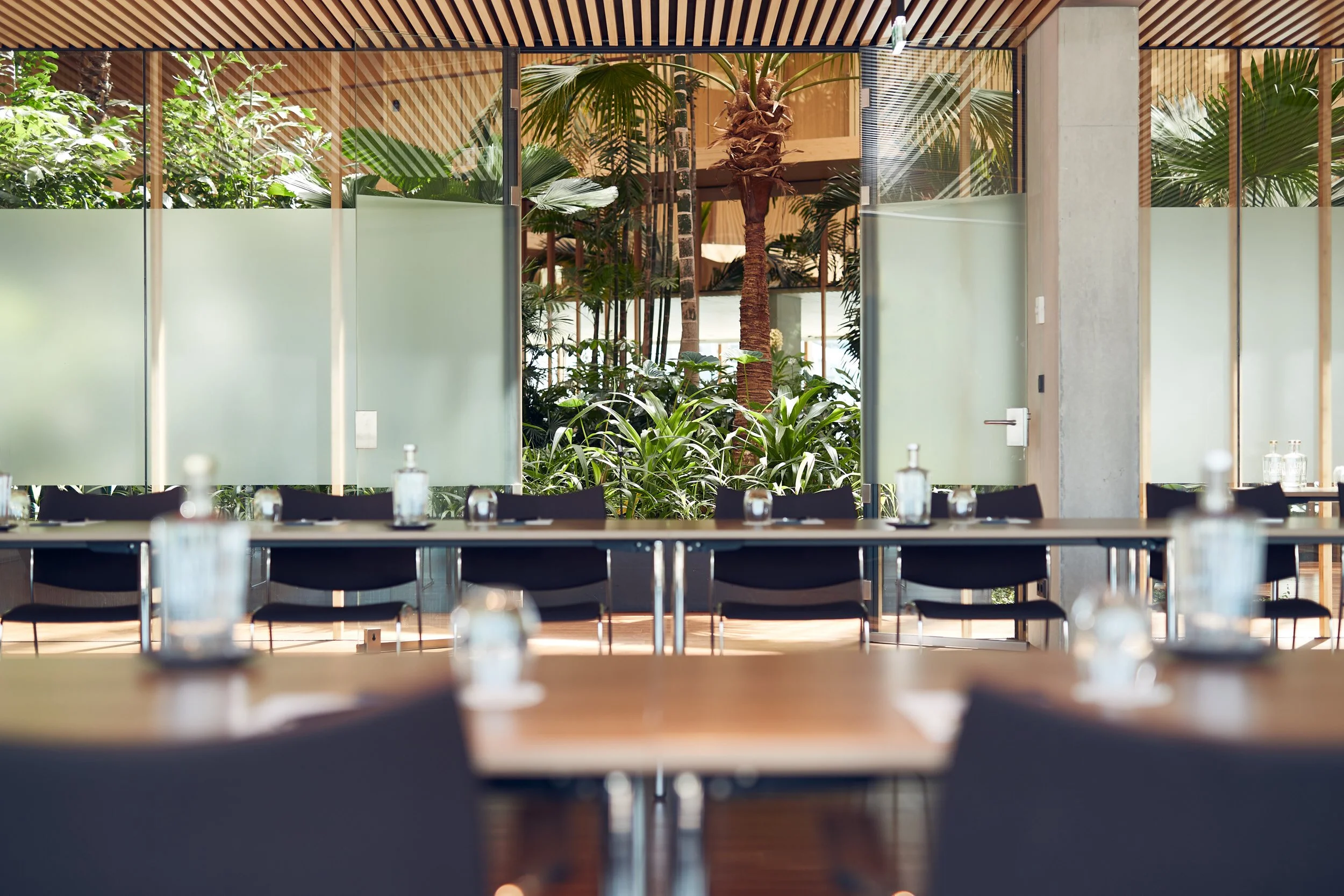 Empty restaurant dining area with tables set with glasses and salt shakers, and tropical plants visible through glass partitions.