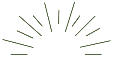 Sparkle-Green.png