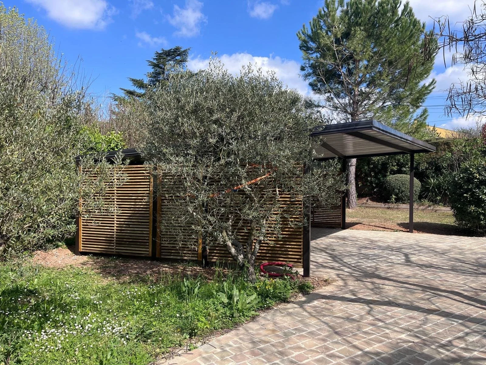 WhatsApp Image 2025-06-27 at 16.10.37 (1).jpeg