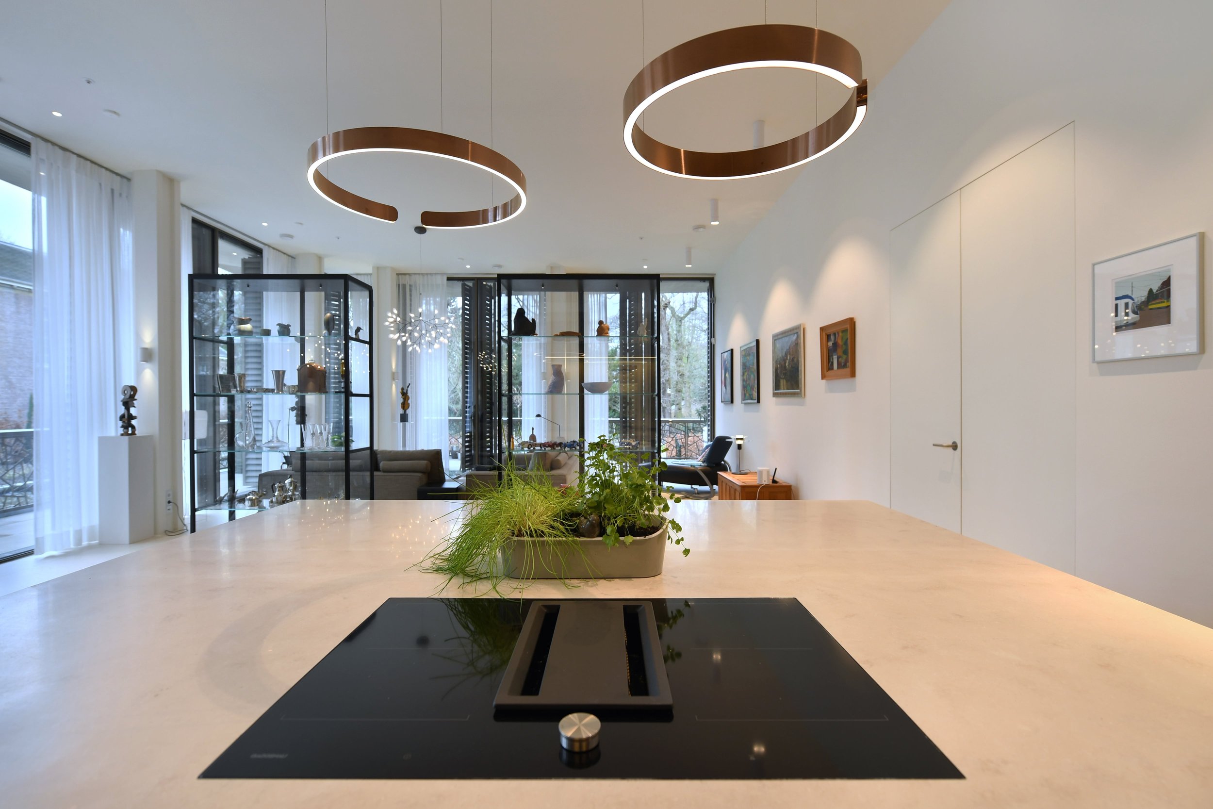 Moderne open keuken met planten, inductie kookplaat en wandlampen, uitzicht op woonkamer met kunstwerken en glazen displaykast